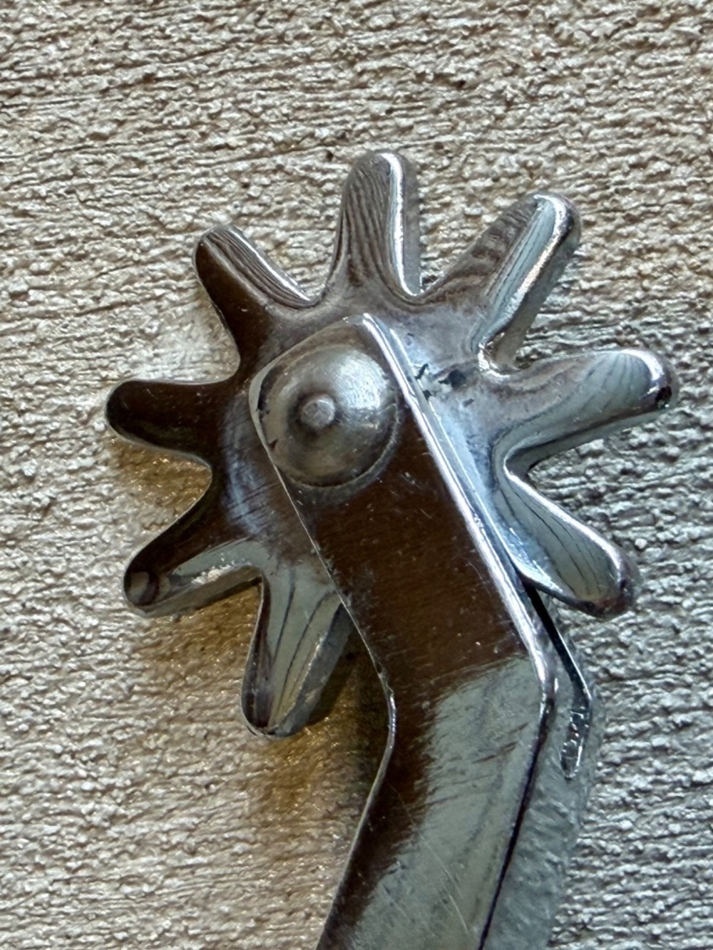 Spurs - Picture 4 of 7
